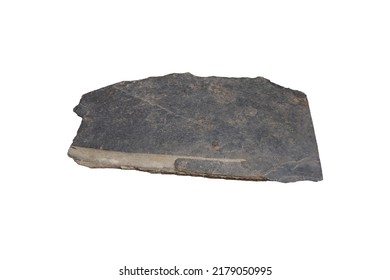 A Stone Slab Of Slate Homogeneous Metamorphic Rock Isolated On White Background.