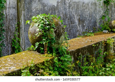 Stone Sphere On An Old Stone Lintel, Covered Almost Entirely By An Ivy.