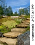 Stone staircase and flowering moss next to the staircase steps. A walking tour of the park.