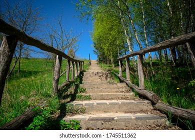 Stone staircase with wooden railing among the trees. Surrounded by green grass and birch trees. Clear summer blue sky. - Powered by Shutterstock