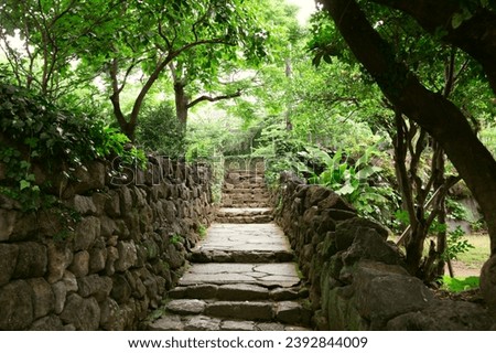 Stone stairs alley with green forest at Seogwipo Lee Jung Seop Street in Jeju island, Korea