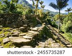 Stone stairs in hidden ancient ruins of Tayrona civilization Ciudad Perdida in heart of the Colombian jungle Lost city of Teyuna. Santa Marta, Sierra Nevada mountains, Colombia wilderness