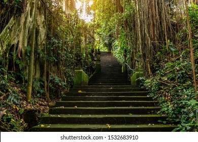 Stone stairs in the jungle. - Powered by Shutterstock