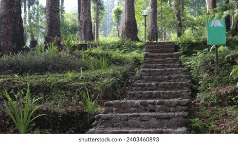 stone stairs road on the forest - Powered by Shutterstock