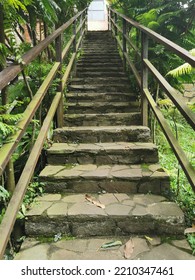 Stone Stairway In A Garden