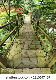 Stone Stairway In A Garden