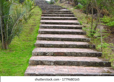 Stone Stairway Up A Mountain Track