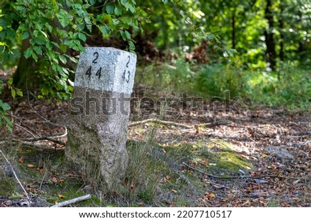 A stone standing on the border by a forest road.