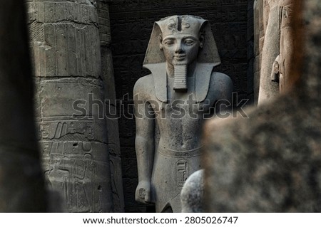 Stone statue of the Pharaoh Ramesses the second, at the ancient Niles side ruins of Luxor temple.Luxor, Egypt, Africa.