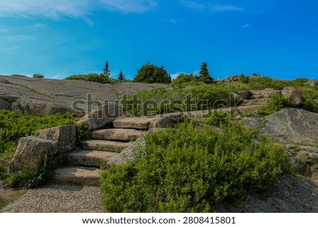 Stone steps climb through rugged granite rocks, shrubs and evergreens beneath a bright blue summer sky.