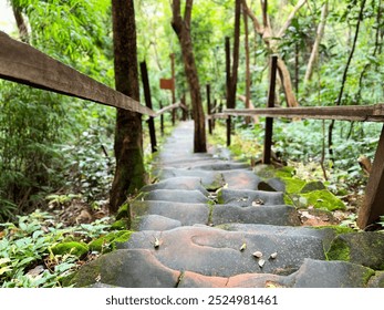 stone steps in the garden, stone staircase covered in green moss, nestled within a dense, lush forest. The pathway winds upwards, flanked by wooden rails and surrounded by vibrant vegetation - Powered by Shutterstock