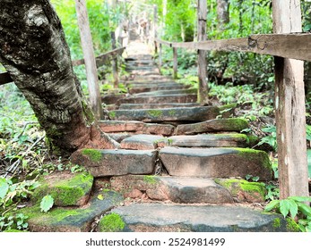 stone steps in the garden, stone staircase covered in green moss, nestled within a dense, lush forest. The pathway winds upwards, flanked by wooden rails and surrounded by vibrant vegetation - Powered by Shutterstock