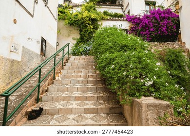 Stone steps lead up between old white buildings bordered by dense green shrubs and colorful flowering plants, with two cats resting on the stairs. A green handrail, patterned stonework, and overgrown vines create a picturesque residential alleyway scene.