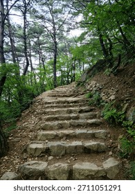 Stone steps and natural paths wind through lush green forests, evoking peace and serenity. Ideal for showcasing tranquil nature and outdoor exploration. #1