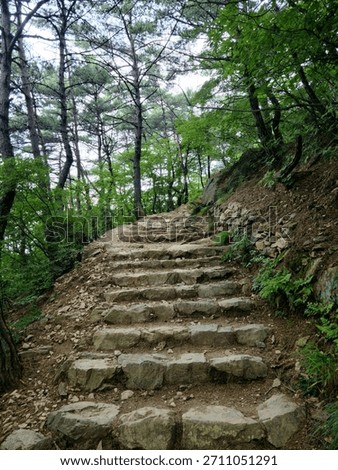 Stone steps and natural paths wind through lush green forests, evoking peace and serenity. Ideal for showcasing tranquil nature and outdoor exploration. #1