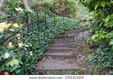 Stone steps with an old iron railing winding through dense green ivy and autumnal leaves in a natural woodland setting in Dyserth, North Wales.