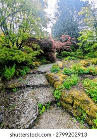 Stone steps path through lush garden with mossy rocks and colorful trees