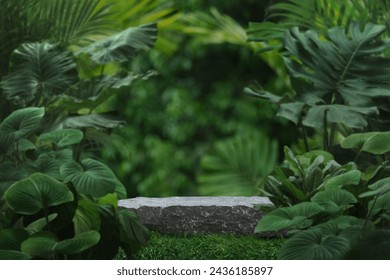 Stone tabletop podium floor in outdoors tropical garden forest blurred green leaf plant nature background.Natural product placement pedestal stand display,jungle paradise concept.