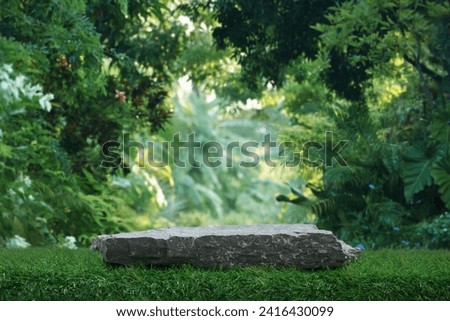 Stone tabletop podium floor in outdoors tropical garden forest blurred green leaf plant nature background.Natural product placement pedestal stand display,jungle paradise concept.