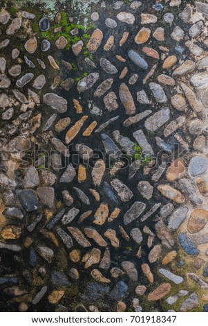 Similar – Image, Stock Photo autumn of spectators