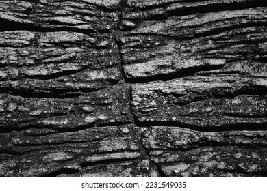 Stone texture blackwhite Abstract nature