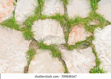 Stone Tile With Green Grass In The Garden, Background, Texture