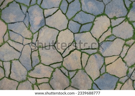 Stone tiles with moss background. Paved street