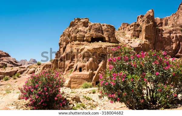 stone tomb in the\
ancient Petra city\
