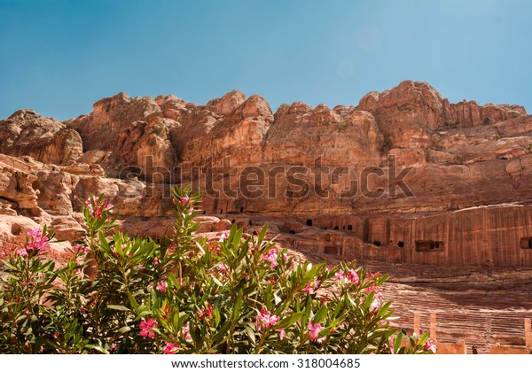 stone tomb in the ancient\
Petra city