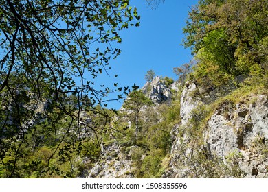 Stone tops of mountains with green trees in a good day - Shutterstock ID 1508355596