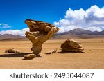 Stone Tree in Siloli desert Bolivia