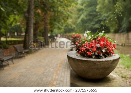 Stone vases with flowers between the walkway and the river in the park. Autumn. It's raining.                               