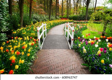 Stone walk way winding in spring formal flower garden Keukenhof, Holland, retro toned