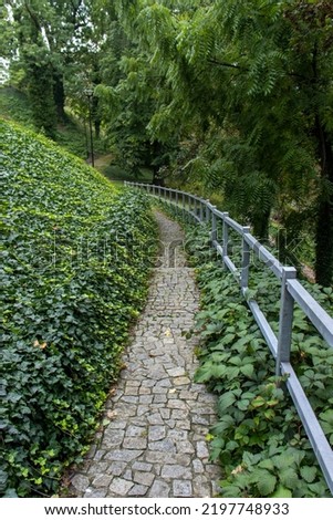 a stone walkway leading downhill with an iron railing on the right. Ivy growing luxuriantly on the sides of the sidewalk. Ivy leaves, grass, stones, railings, trees, lamp. A walk in a beautiful park, 