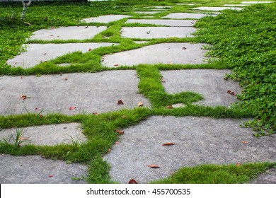 Stone Walkway On Green Grass