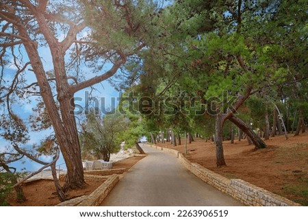 Stone walkway path by the Adriatic sea with a beautiful pine forest in Porec, Istria region, Croatia.Nature beauties. Touristic place