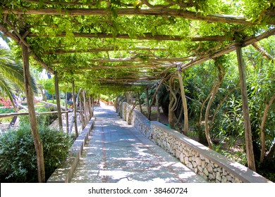 A Stone Walkway Under A Grape Arbor