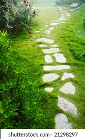 Stone walkway winding in garden