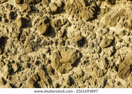 Stone wall. Brown background texture