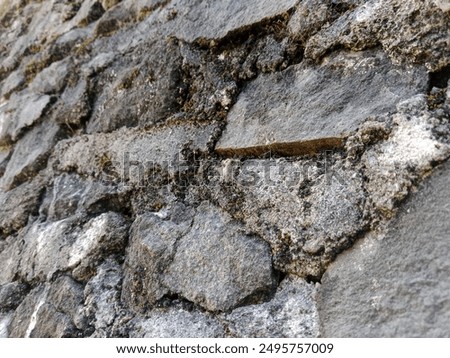 stone wall dividing the backyard