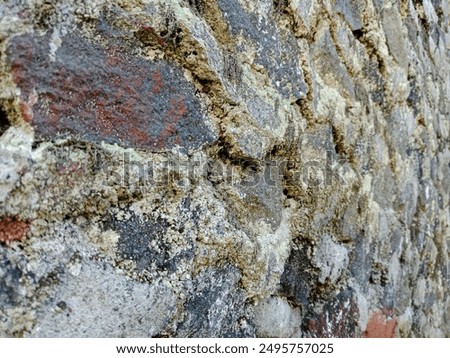stone wall dividing the backyard