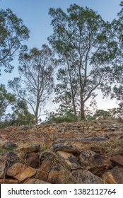 Stone Wall And Eucalyptus Trees, Adelaide Hills