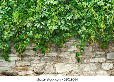 18,221 Overgrown stone walls Images, Stock Photos & Vectors | Shutterstock