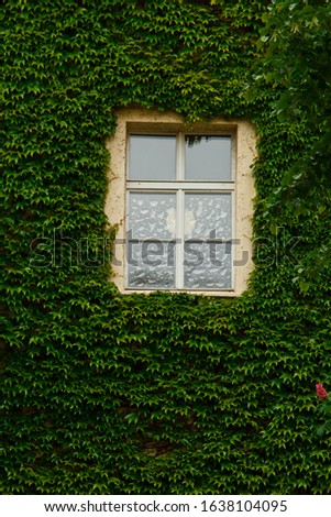 Similar – heavily overgrown building, of which only the roof is still visible