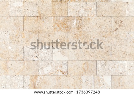 Stone wall made of shelly limestone, it is a highly fossiliferous limestone, composed of a number of fossilized organisms. Background texture, front view