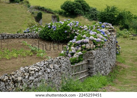 Similar – Image, Stock Photo forgotten heyday Landscape