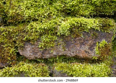 Stone wall with moss