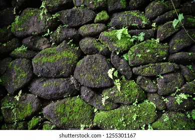 Stone wall with moss closeup. Nature Texture - Powered by Shutterstock