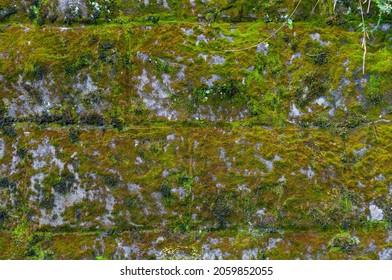 Stone Wall Overgrown With Moss And Lichen Close Up, Nature Outdoors