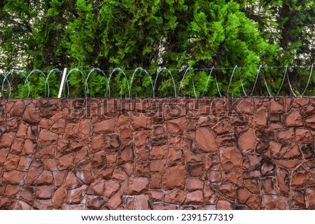 Stone wall with spiral-shaped steel fence with cutting blades, called concertina or popularly hedgehog, used for security of houses and properties in Brazil